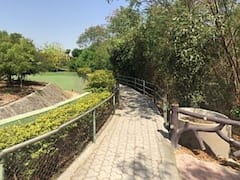 રાજકોટ શહેરના મુખ્ય ગાર્ડન આવતીકાલથી ખુલ્લા મુકવામાં આવશે, જુઓ વીડિયો