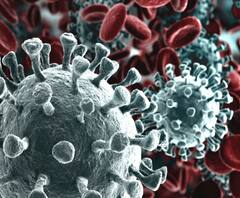 Corona in Uttarakhand: सोमवार को 336 नए संक्रमित मिले | ABP GANGA 