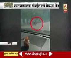 नागपूर-जबलपूर महामार्गावर बिबट्याचा वावर, वाहनचालकांच्या मोबाईलमध्ये बिबट्या कैद