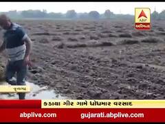 જૂનાગઢઃ કડાયા ગીર ગામે ધોધમાર વરસાદ, જુઓ વીડિયો 