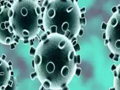 COVID-19 cases in India surge past 69 lakh