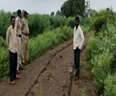 बुलडाण्यात विधवा महिलेसह तिच्या दोन मुलींची हत्या, आरोपी पोलिसांच्या ताब्यात