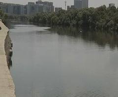 खाडी, समुद्र प्रदूषित केल्यामुळं मुंबई मनपाला 30 कोटींचा दंड , राष्ट्रीय हरित लवादाचा BMC ला दणका