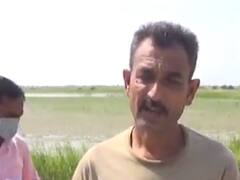 પાટણઃ ખેતીવાડી વિભાગ દ્ધારા સર્વે પૂર્ણતાના આરે, ખરીફ પાકોમાં 50 થી 80 ટકા જેટલું નુકસાન