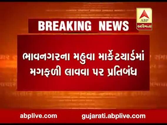ભાવનગરના મહુવા માર્કેટયાર્ડમાં મગફળી લાવવા પર કેમ મુકાયો પ્રતિબંધ?, જુઓ વીડિયો 