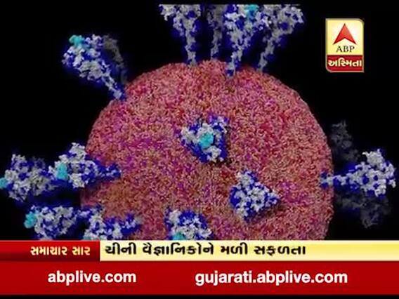 ચીની વૈજ્ઞાનિકોને મળી સફળતા, કોરોના વાયરસની પ્રથમ તસવીર આવી સામે 