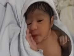 Pollution took lives of 1 lakh 16 thousand infants in India: State of Global Air Report