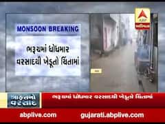 ભરૂચ જિલ્લામાં ધોધમાર વરસાદથી ખેડૂતોમાં ચિંતા, જુઓ વીડિયો