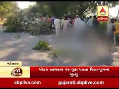 મહેસાણા: મોટરસાઈકલ પર વૃક્ષ ધરાશાયી થતા પિતા-પુત્રનું મોત, જુઓ વીડિયો 