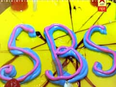 Shaheer Sheikh congratulates SBS on 17th birthday