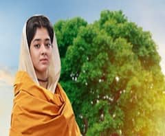 হয় মা নয় বৌমা: দর্শকদের বিচারে এই সপ্তাহে এগিয়ে কোন কোন ধারাবাহিক? দেখুন 