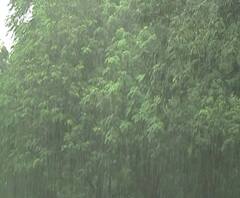 Smart Bulletin | स्मार्ट बुलेटिन | 16 ऑक्टोबर 2020 | शुक्रवार | ABP Majha