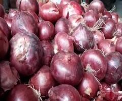 Onion Price Hike | नवी मुंबई एपीएमसीमध्ये कांदा 90 रुपयांच्या घरात; लवकरच शंभरी गाठण्याची शक्यता