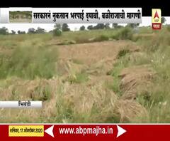 Maharashtra Monsoon | परतीच्या पावसाने भिवंडीतील भातशेतीचं नुकसान