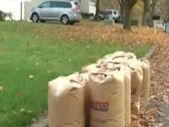 Know how US is dealing with the problem of falling leaves & stubble burning