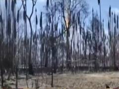 Fire at Oil India's gas well continues to rage since June