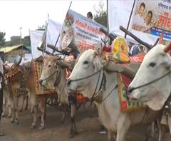 Rural News | माझं गाव माझा जिल्हा | राज्याच्या कानाकोपऱ्यातील बातम्यांचा आढावा | 08 ऑक्टोबर 2020