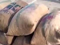 ગઈકાલે વરસેલા વરસાદથી ગોંડલ માર્કેટિંગ યાર્ડમાં મગફળીનો પાક પલળી જતા ખેડૂતોને મોટું નુકસાન, જુઓ વીડિયો 