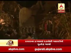 અમદાવાદ કચરાના ઢગલામાં દટાયેલી બાળકીનો મૃતદેહ સાત દિવસ બાદ મળ્યો, જુઓ વીડિયો