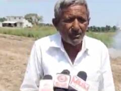 ગીર સોમનાથના ખેડૂતોએ કરી મગફળીના પાકની હોળી, જુઓ વીડિયો