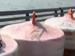 સી-પ્લેન માટે અમદાવાદમાં સાબરમતી રિવરફ્રન્ટ પર તડામાર તૈયારીઓ, જુઓ વીડિયો 