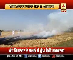 ਖੇਤੀ ਅੰਦੋਲਨ ਵਿਚਾਲੇ ਖੇਤਾਂ 'ਚ ਅੱਗਜਨੀ !