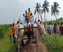 Rural News | माझं गाव माझा जिल्हा | राज्याच्या कानाकोपऱ्यातील बातम्यांचा आढावा | 22 ऑक्टोबर 2020