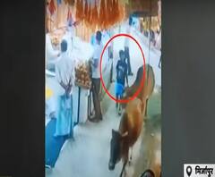 Mirzapur: Navratri मेले में आवारा जानवरों का आतंक, बच्चे को बनाया निशाना| Ganga Prime | ABP Ganga