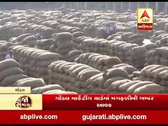 ગોંડલ માર્કેટિંગ યાર્ડમાં મગફળીની બમ્પર આવક, એક દિવસમાં 80 હજાર ગુણી થઈ આવક, જુઓ વીડિયો 