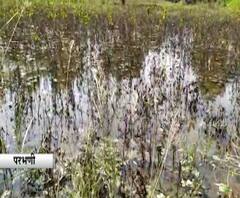 Returning Rain | परतीच्या पावसाने परभणीतील शेतकऱ्यांच्या तोंडातला घास हिरावला; अनेक पीकांचे नुकसान