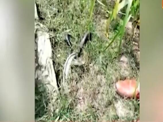 Hathras Case: खेत के वीडियो से लेकर आरोपी की चिट्ठी तक के एजेंडे के पीछे कौन?