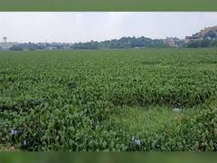 Encroachment is the real cause of floods in Hyderabad | Ground Report