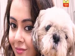 Meet Devoleena Bhattacharjee's lockdown companion