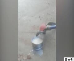 शिक्षा नगरी में कोबरा सांप की दावत