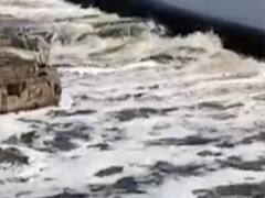 રાજકોટના જેતપુરમાં ભાદર નદીમાં છોડાયું કેમિકલયુક્ત પાણી, જુઓ વીડિયો