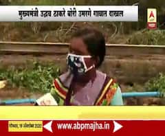 CM Thackeray visit Rain affected Solapur | बोरी उमरग्यातीव शेतकऱ्यांच्या नेमक्या समस्या काय?