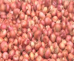 Onion Issue| कांदा प्रश्नी मुख्यमंत्र्यांनी बैठक बोलावली;कृषीमंत्री,शेतकरी,व्यापाऱ्यांशी चर्चा करणार