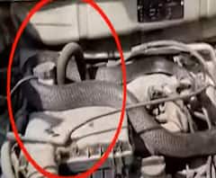 Dehradun: कार के अंदर 5 फीट लंबा कोबरा देख मचा हड़कंप| Poorab Paschim | ABPGanga