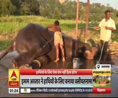 हाथियों के लिए ऐसा प्रेम, शख्स ने नाम कर दी 5 करोड़ की प्रॉपर्टी