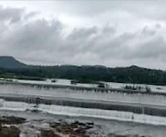 Beed Rain Update : बीड जिल्ह्यात रेकॉर्डब्रेक पाऊस, बिंदुसरा ओव्हरफ्लो, मांजरा 80 टक्के भरलं