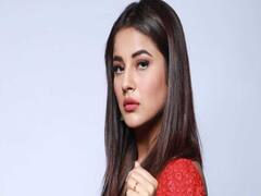 Bigg Boss fame Shehnaaz Gill's new 'fit' look 