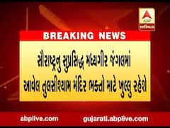  સૌરાષ્ટ્રનું સુપ્રસિધ્ધ મધ્યગીર જંગલમાં આવેલુ તુલસીશ્યામ મંદિર ભક્તો માટે ખુલશે, જુઓ વીડિયો