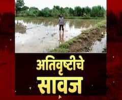 Maharashtra Rain Update : सरकारकडून मदत कधी मिळणार? सोयाबीन उत्पादकाची करुण कहाणी