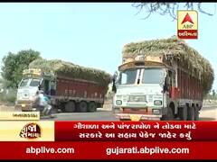 પાંજરાપોળના પશુઓને ઘાસચારા માટે સ્વાવલંબી અને આત્મનિર્ભર યોજના