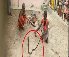 प्राथमिक विद्यालय बना सांपों का बसेरा