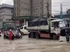 Watch top viral news of the day | Viral Express