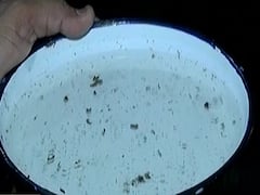 અમદાવાદમાં મચ્છર બ્રીડિંગ મળતા ત્રણ એકમની ઓફિસને સીલ કરાઇ, જુઓ વીડિયો 