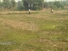 Pusa Institute discovers way to avoid stubble burning | Ground Report 
