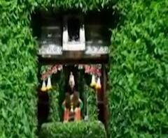 Shardiya Navratri 2020 | पंढरपूरच्या विठ्ठल रुक्मिणी मंदिरात आकर्षक सजावट