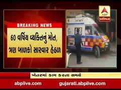 દાહોદમાં ખેતરમાં કામ કરતા પરિવાર પર મધમાખીનો હુમલો, જુઓ વીડિયો 